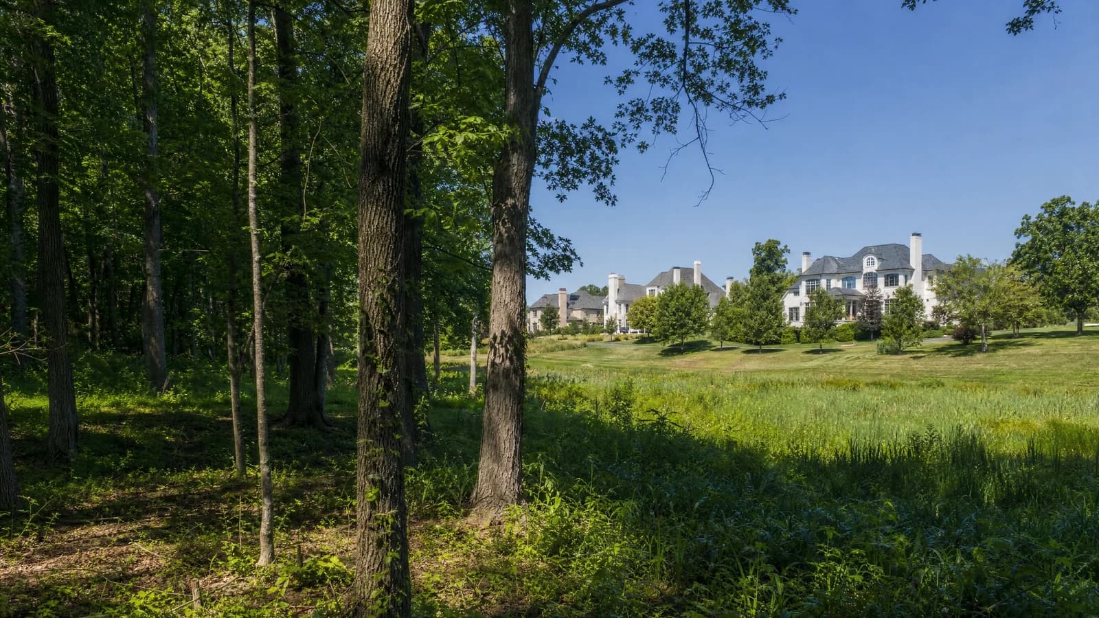 Illustrated wooded Dublin site with separate conceptual home footprints marked as proposed.