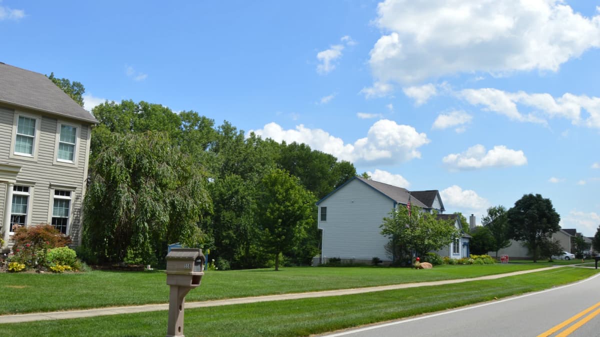 Archival photograph of older houses, lawns and trees along Hibbs Street in Columbus.